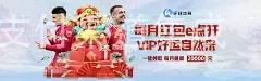 乐鱼网页版,本地支付渠道集成
