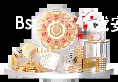 Bsports下载安装入口