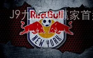 J9九游会-赢家首选、安全秒提