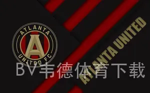 BV韦德体育下载