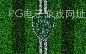 PG电子游戏网址