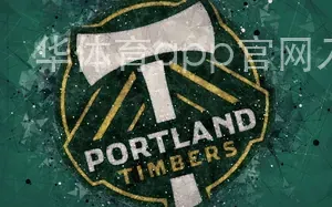 华体育app官网入口