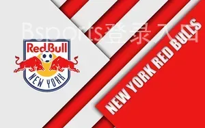 Bsports登录入口