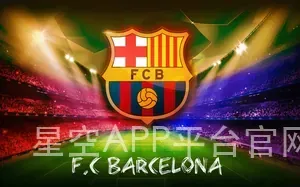 星空APP平台官网