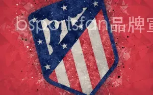 bsportsfan品牌宣传推广
