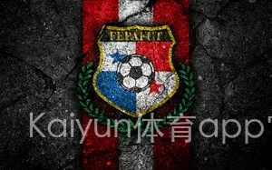 Kaiyun体育app官网