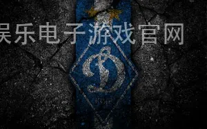 ng娱乐电子游戏官网
