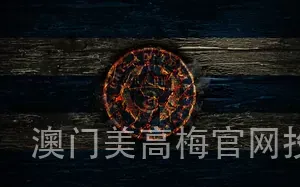 澳门美高梅官网投