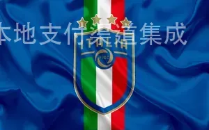 乐鱼网页版,本地支付渠道集成