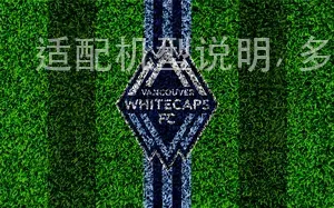 适配机型说明, 多币种自动兑换服务, 多层级安全防护体系, 多国家法律合规咨询, 多国家年龄验证, 多国家税务合规方案