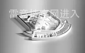雷竞技官网进入