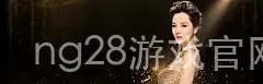 ng28游戏官网平台