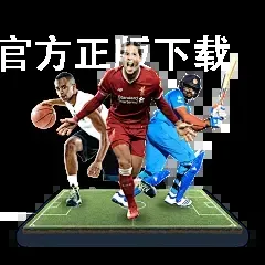 爱游戏官方正版下载
