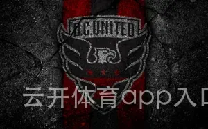 云开体育app入口下载官网