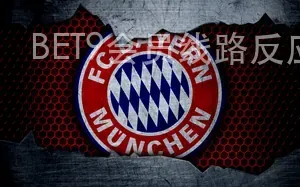 BET9会员线路反应秒数