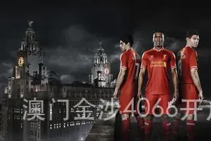 澳门金沙4066开户
