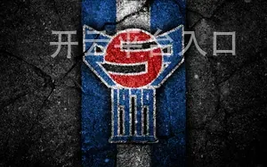 开云平台入口