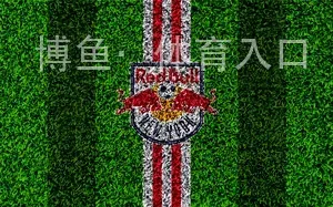 博鱼·体育入口