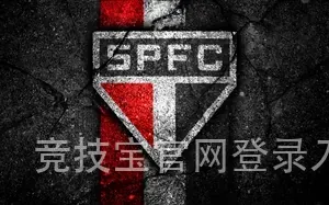 竞技宝官网登录入口