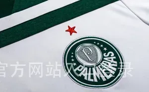 爱游戏官方网站入口登录