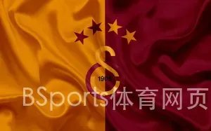 BSports体育网页版