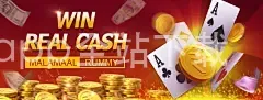 开云app全站下载