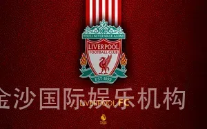 金沙国际娱乐机构