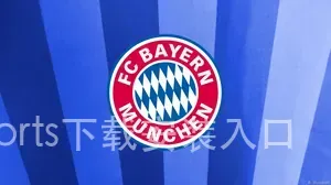 Bsports下载安装入口