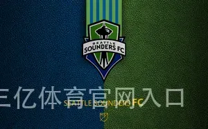 三亿体育官网入口