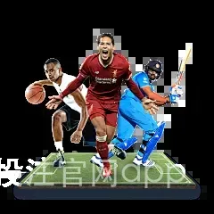 IM体育投注官网app