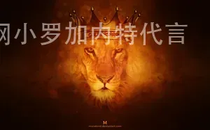 米乐M6官网小罗加内特代言
